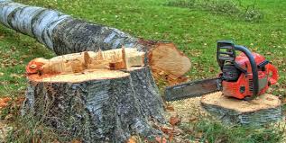 Best Firewood Processing and Delivery  in Beaver Creek, TX